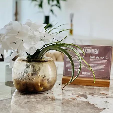 Einstein Im Wissenschaftspark * Όσναμπρουκ