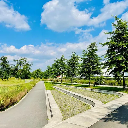 Einstein Im Wissenschaftspark Osnabrück